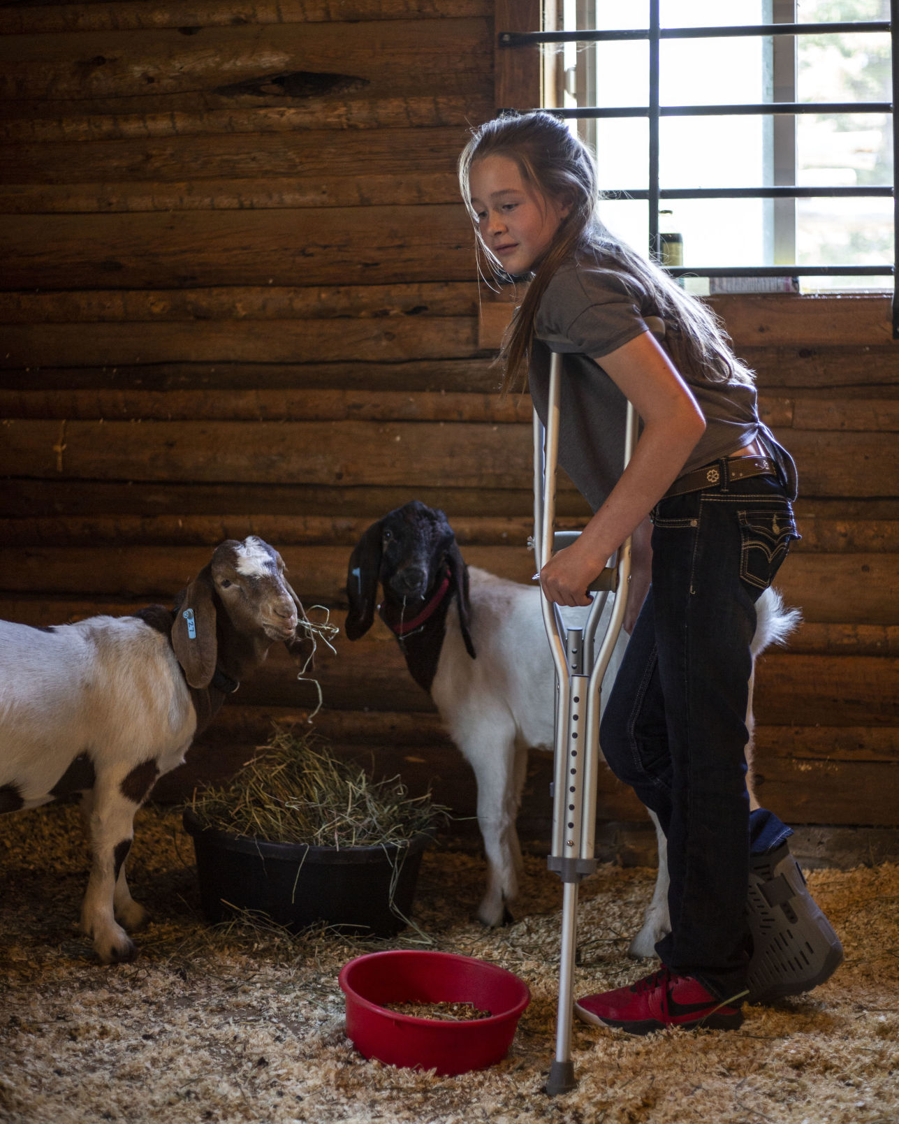 Jack and Maslyn Edmiston 4-H goats
